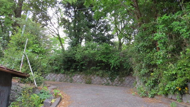 7dbb265cf29795d33fc6d9bed778fe395738b04e