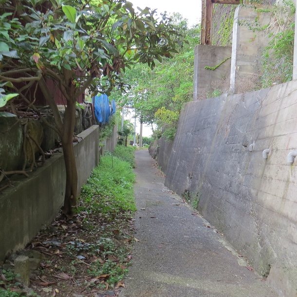 Ca4ae2c1955d52be27c730b9b288503336e2beae