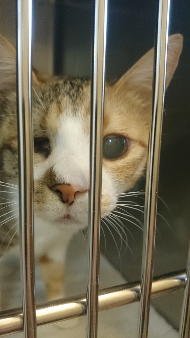 65049301f416245f4f5655a2e6df0929d9495f8b