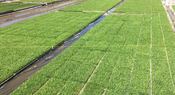 5552ed907e3e240ae699de381f09632326e4fa1e