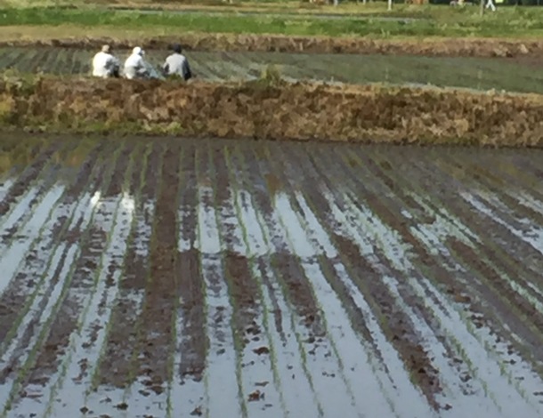 998c63030a21e4377f3b1af9538a3070cbb91b44