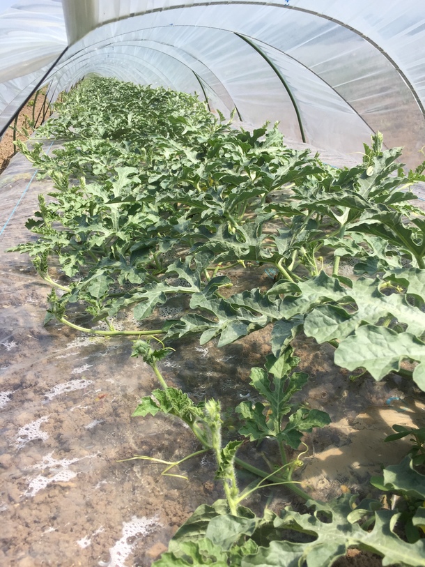 F83f4273a9f5db1119cd1c183ba2cdf3d460b164