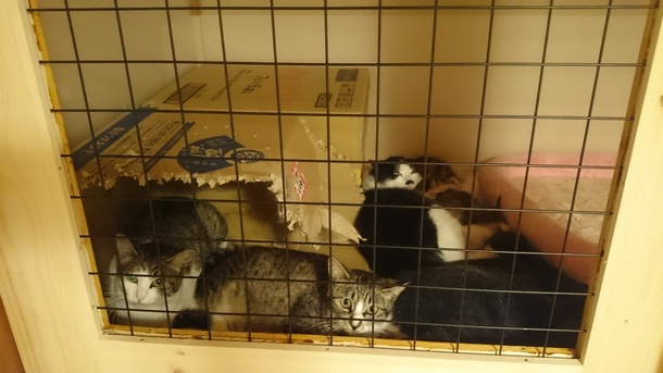 F6bf58ef46d018caba3a990eb802ca3c1e89f10a