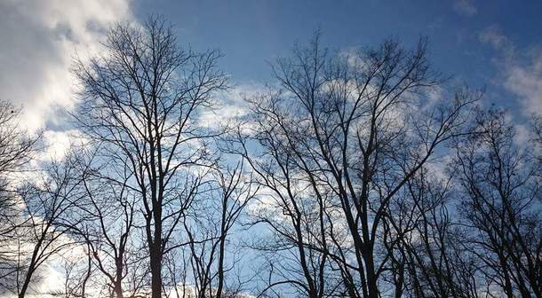 C14668eabd890fa55886245c462e77c0818111ea