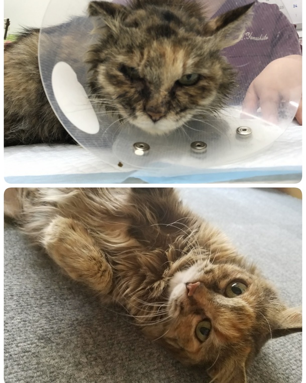 F77e66d1495705f29e31039f97a02bcb5273d787