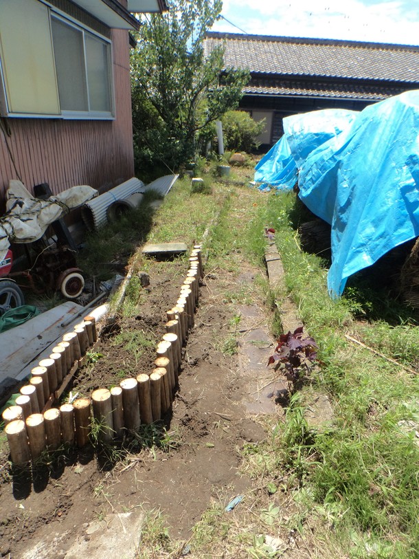 D1e5231bc63660b6fc7af17d34087425b9a05b3c