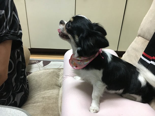 Aebcc72cfd5b555edfa3c0a04b22a7d06d97c8da