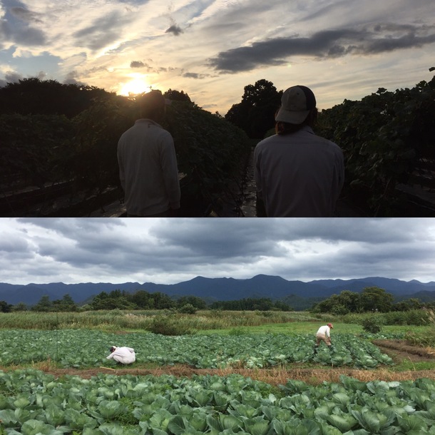 E0b83ebb88e320fe7ee559870b7879ea6966cf52