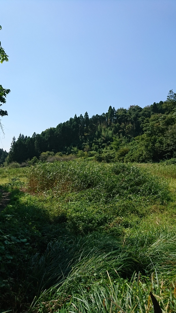 C5410d4ebccf3b5531bf7fc23bbd6802748d9b64