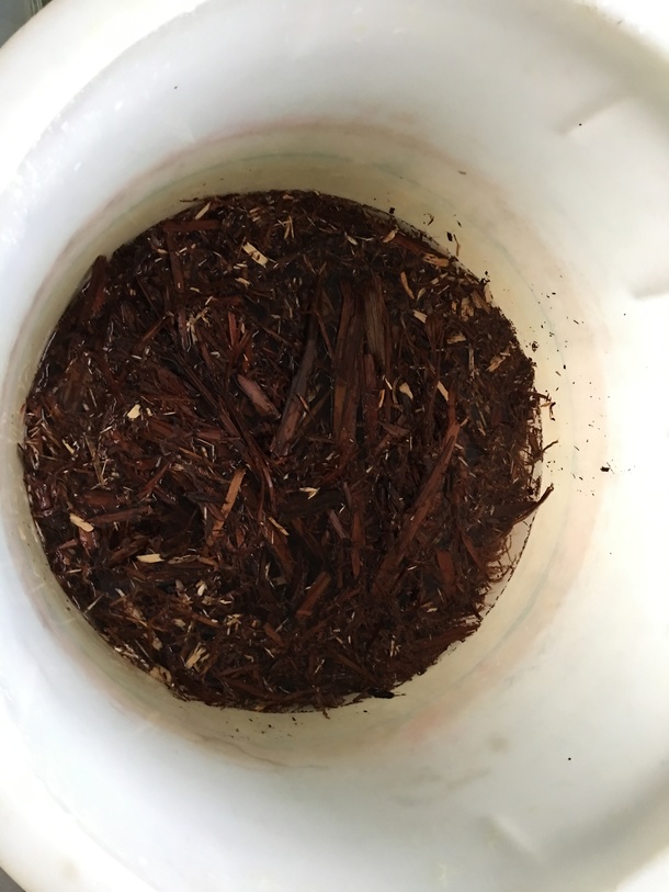 E744dc6be851a726ec1d6140f40043b95c57963c