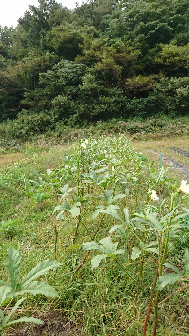 9f92084dee4b2a857c5201204f12094d13447552