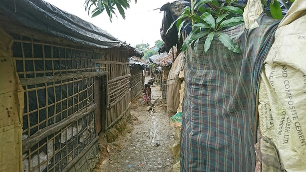 8b1ea3f42b9d967899549ab09c65aed0d891ad41