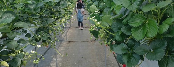 1befb89b2a00819c18b5df6094ce608e9f3c6160