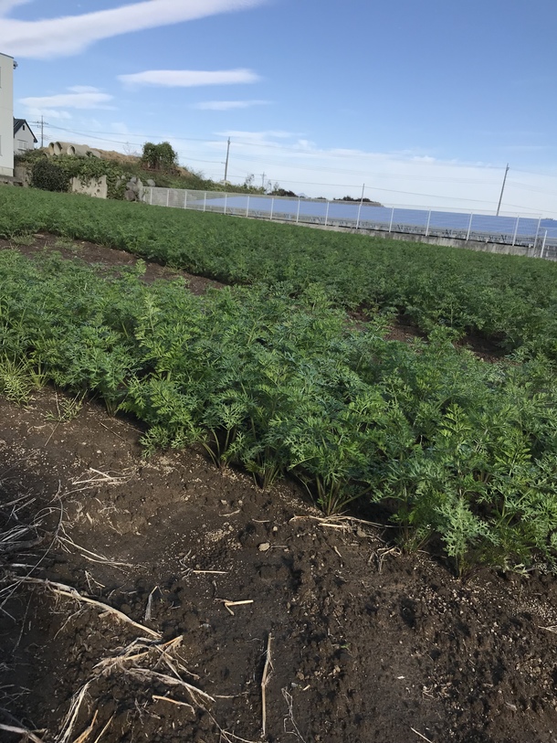 77ef858221a711eac714383edbb445b03a487393