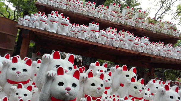 80ec61e57f64167542503dd6080b2c4509d94534