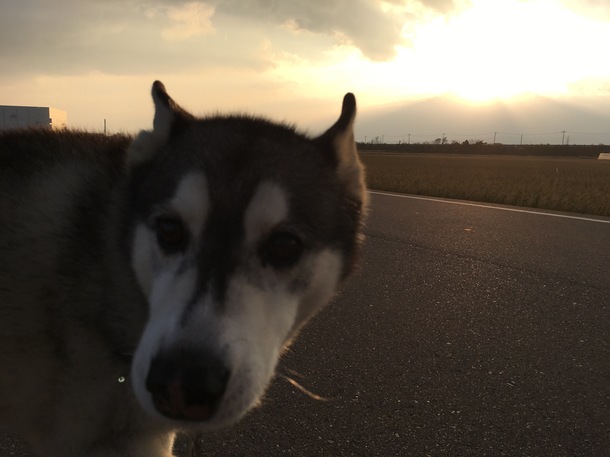 83aa9b046694a760933747b7a03c7e1cddff9174