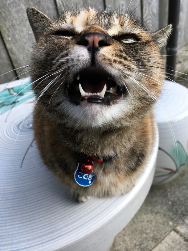 9b7d5b206fc35d978232765bab996f65aed2833d