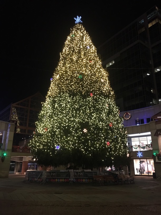 91914bd1b98a60abb6f2eb79933181435b6023fc