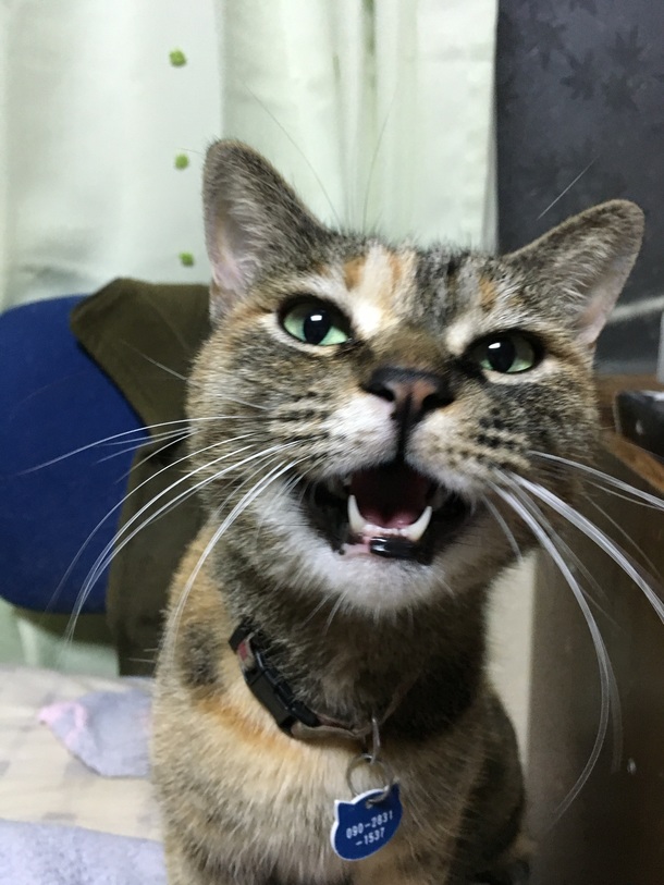 F8e7080eb8c473807cccaa6a227990674a2472fd