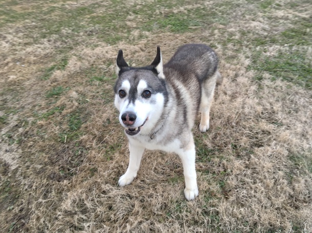 E54c989bcd49b18255d2e658ff885e68e8372fb8