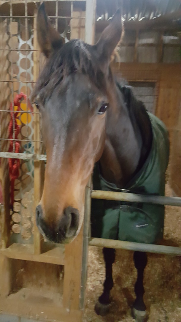 E1661018b9eac645a5c8167da2db581e25bdbe88