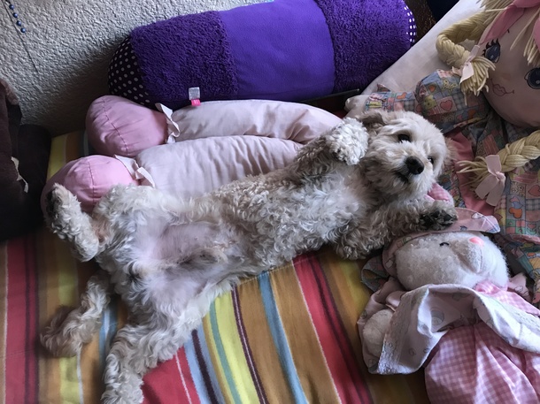 28368c889254da6545ce2c24d4dfb86d4f7c1f99