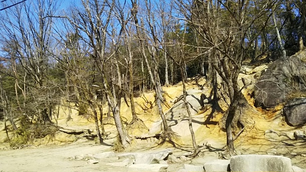 99143d91f366a32f1522d6294a3df970d40bf55c