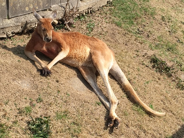 9ad95d82b4a453e5c5654ec46e61c36fe6f7d5f1