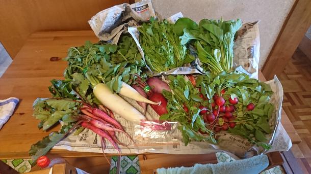 27eba5a3fcd9b7852736dd5a96796057f4e2e737