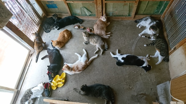 8bee7064c18fce0bd206ebc24738a5e25d18c284