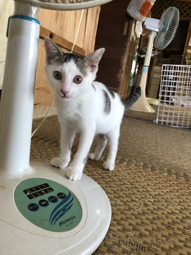 9e5bb15b56282e894159ce5ec5d9d901d8b8811b