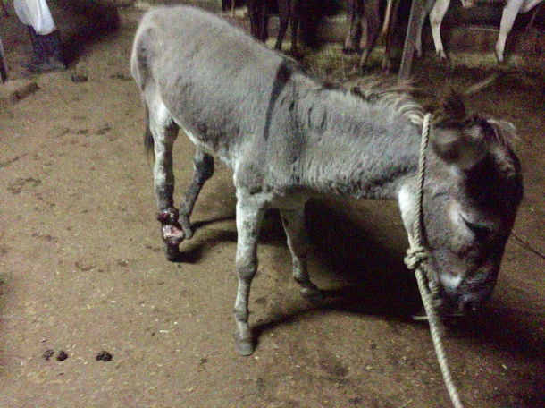 F047c7cc2b3a1dc396907b386093d46798c2e78a