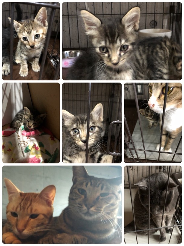 715f699820206530bc08c28e32d55c19d2209a97