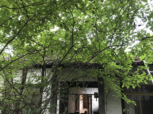 120782cb71949b16cfa54338180d896f25895b52