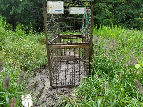 75ba24a9d9b97e902b4d38a99a84a419ea982746