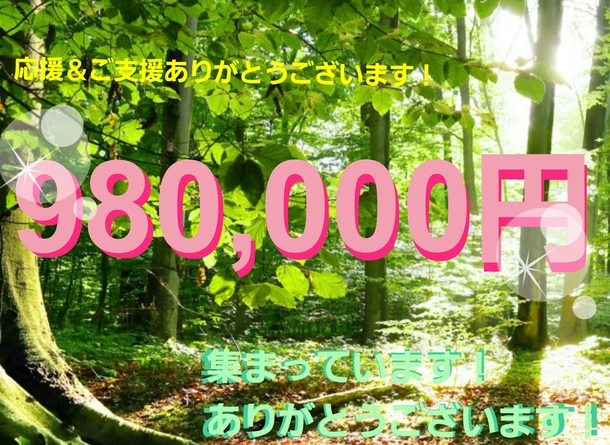 31a2bf9e21ee43c4409eb8997e021e910ea1064c