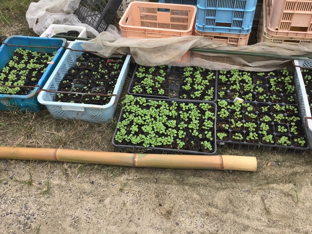 9841803e04c8499bc649450d7a8ef21041d8fce1