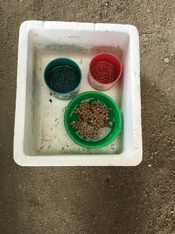 312c637f95e887a99a4bd1eb4563cd7c8e9313f9