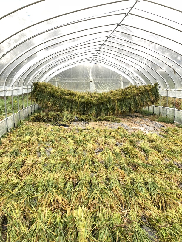 6f9b6df8b54dbd73ef9806fb11cd1be0e366a28b