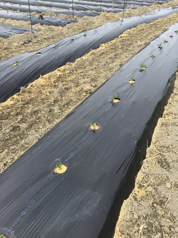 B3231641c9b219288f8f2534bf3716173b77ee08