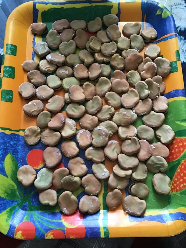 29e64623a0e1d1d4f92861c05a179b851cd4d138