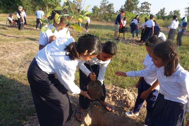 D4ae6d95904ba83796cbf0143bdf2e4c33156b78