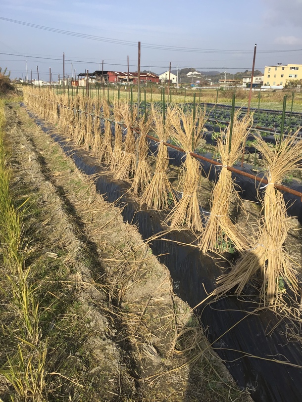 59b6a46572a5bd1ba6a4a458e2d418a16910a047