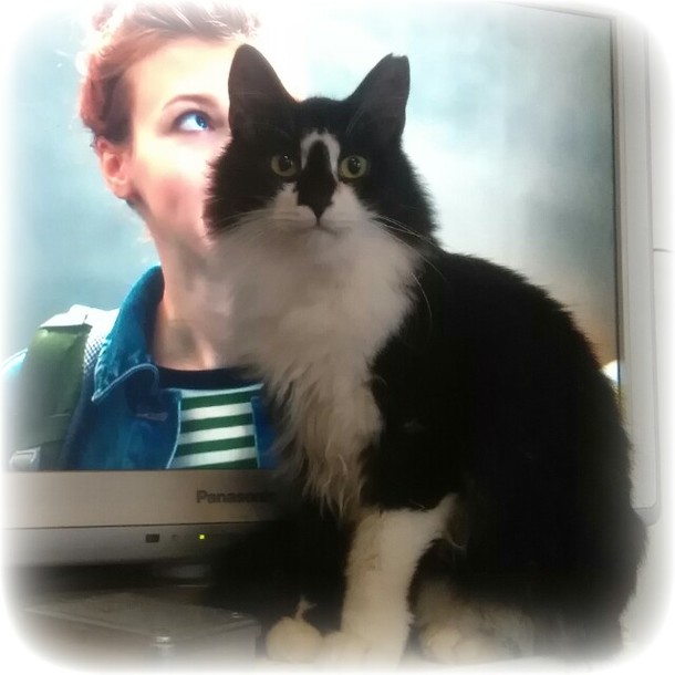 39afa2bafd74038fce9a1ca5f05db5f5e30d9854