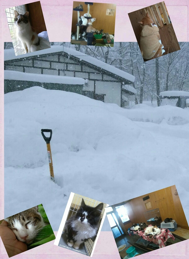 F88158b45eaa247f699754c42c333a4c3adbc74c