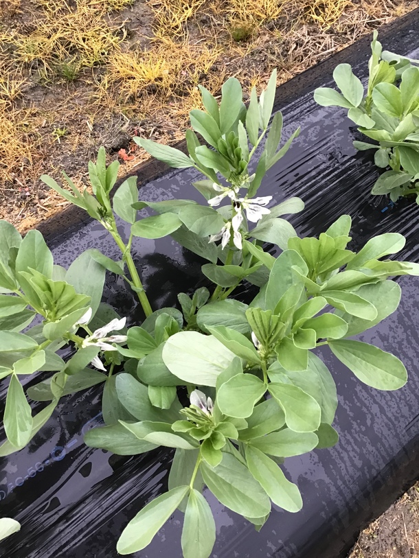 Ec8db79f05168138dbec6c5124d5932508b7ee4c