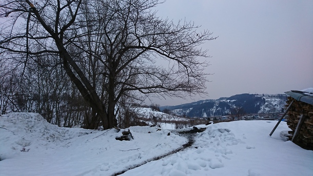 Bcf22b2845a1c7fd0386a2b47b8d2bf029b560a0