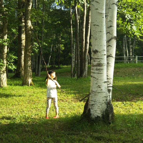 458c84586efc7d4dc9fd0e3a597178dad08993d9