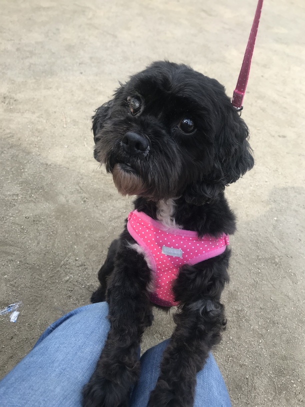 06d6752a25480745c2ef7dd0b8bdb45b349e0b32