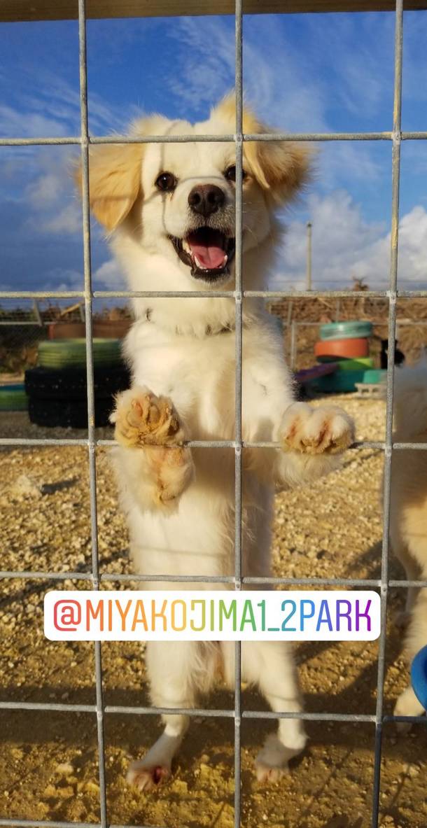 F13164c0e1d92656a9e53b9603c40450eb0118ab